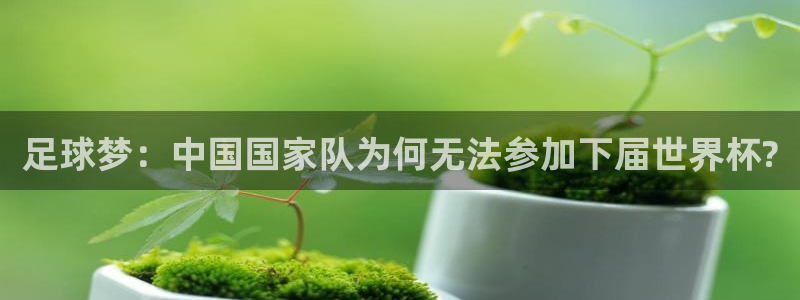 2026世界杯亚洲区预选赛：足球梦：中国国家队为何无法参加下届世界杯?