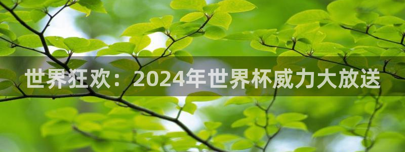 世界杯球队：世界狂欢：2024年世界杯威力大放送