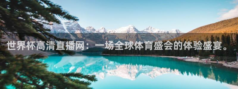 世界杯16强赛程表：世界杯高清直播网：一场全球体育盛会的体验盛宴。