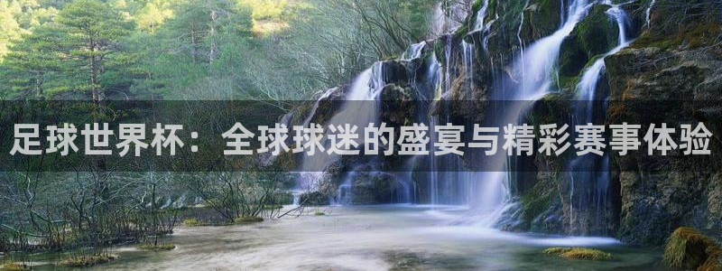 葡萄牙世界杯赛程：足球世界杯：全球球迷的盛宴与精彩赛事体验