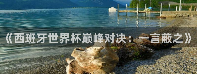 免费看足球直播比赛：《西班牙世界杯巅峰对决：一言蔽之》