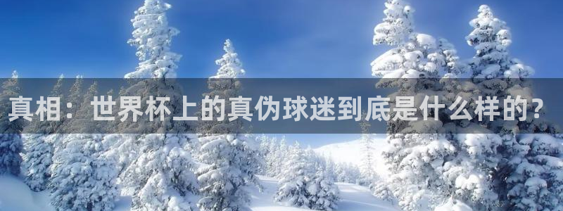 法国杯2026赛程表：真相：世界杯上的真伪球迷到底是什么样的？