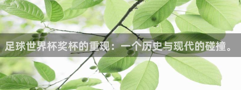 世界杯2026赛程：足球世界杯奖杯的重现：一个历史与现代的碰撞。