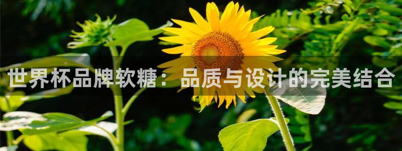 世界杯欧洲预选赛赛程：世界杯品牌软糖：品质与设计的完美结合