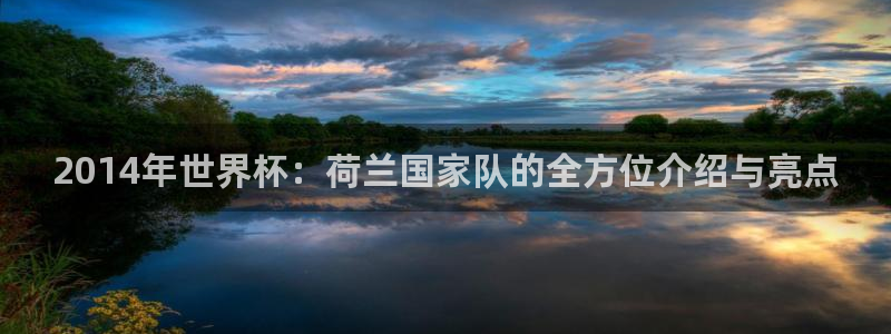 世界杯直播网站：2014年世界杯：荷兰国家队的全方位介绍与亮点
