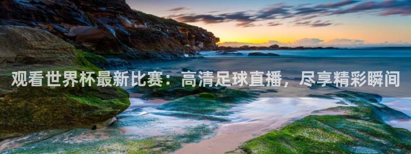 世界杯足球：观看世界杯最新比赛：高清足球直播，尽享精彩瞬间