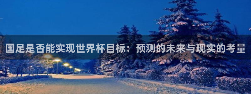 世界杯赛程2026：国足是否能实现世界杯目标：预测的未来与现实的考量