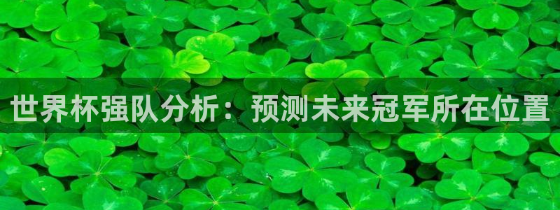 世界杯女足直播：世界杯强队分析：预测未来冠军所在位置