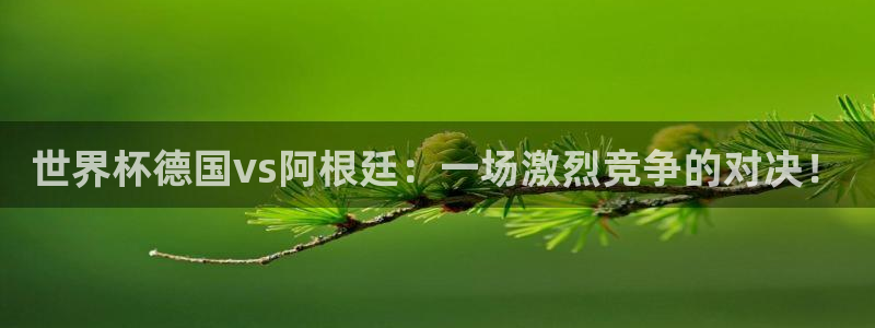2026世亚预赛赛程表：世界杯德国vs阿根廷：一场激烈竞争的对决！
