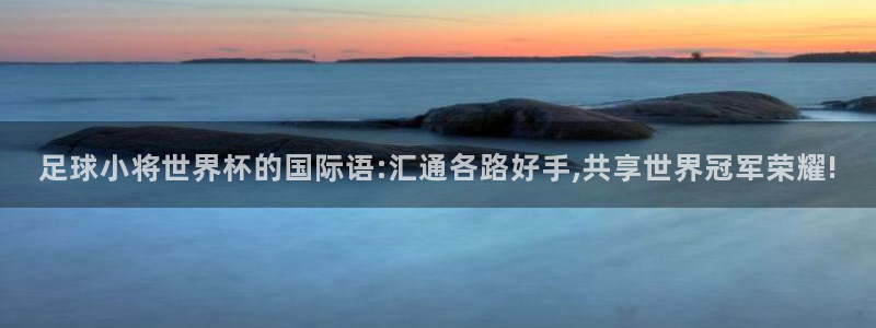 足球世界杯：足球小将世界杯的国际语:汇通各路好手,共享世界冠军荣耀!