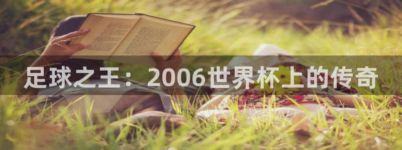 世界杯直播：足球之王：2006世界杯上的传奇