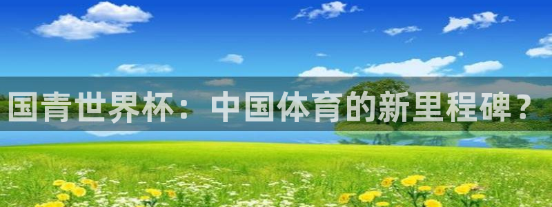2006年世界杯：国青世界杯：中国体育的新里程碑？