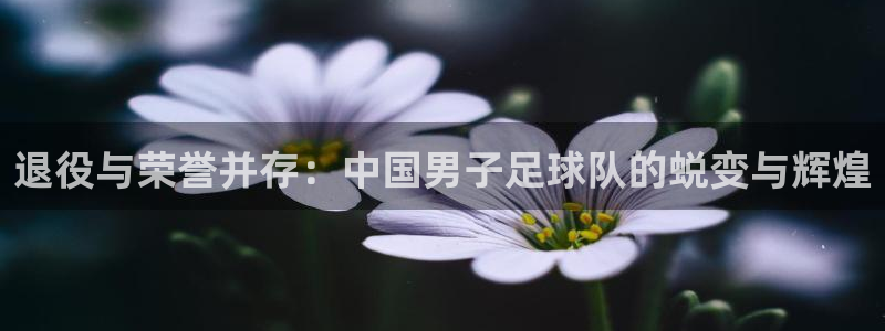 2026世界杯赛程表完整版：退役与荣誉并存：中国男子足球队的蜕变与辉煌