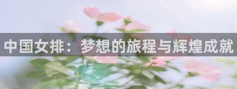 世界杯直播免费观看：中国女排：梦想的旅程与辉煌成就