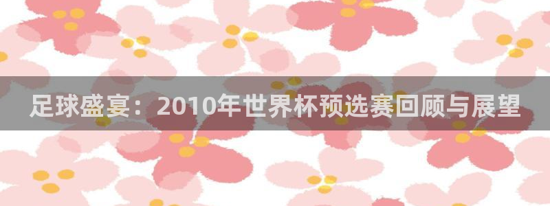 世界杯今年：足球盛宴：2010年世界杯预选赛回顾与展望