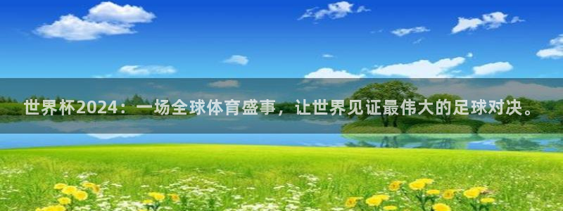 世界杯足球赛：世界杯2024：一场全球体育盛事，让世界见证最伟大的足球对决。