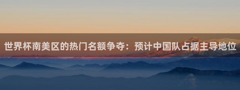 世界杯亚洲区预选赛积分榜：世界杯南美区的热门名额争夺：预计中国队占据主导地位