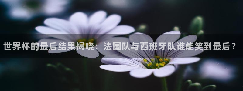 足球世界杯赛程：世界杯的最后结果揭晓：法国队与西班牙队谁能笑到最后？
