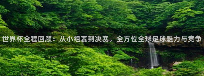 女足世界杯直播在线观看免费高清：世界杯全程回顾：从小组赛到决赛，全方位全球足球魅力与竞争